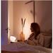 Philips Hue WACA BT lampa 8719514264465