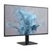 Philips LCD 24E2N1110 23,8" IPS/1920x1080@120Hz/1ms/300cd/VGA/HDMI/VESA 24E2N1110/00
