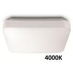 Philips Mauve 31110/31/P3 8718696162811