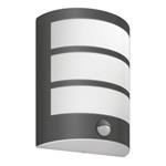 Philips Python IR Anthracite 1x6W 40K 8719514417656