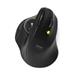 PORT bezdrátová ergonomická myš ERGONOMIC TRACKBALL, 2,4 Ghz & Bluetooth, USB-A/C, černá 900719