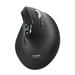 PORT CONNECT ERGO AUDITOR, ergonomická Bluetooth a 2,4GHz bezdrátová nabíjecí myš, USB-C, černá 3567049102043