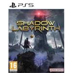 PS5 hra Shadow Labyrinth 3391892035223
