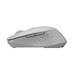 RAPOO myš M300 Silent Wireless Optical Mouse, Multi-mode: 2.4 GHz, Bluetooth 3.0 & 4.0, Grey 6940056180476