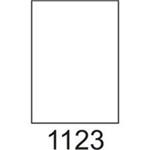 RAYFILM Štítky 210x297 fotomatné biele inkjet 90g *R01051123C