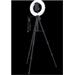 Razer kruhové světlo Ring Light for PC and Mobile Streaming, 12", USB, LED RZ19-03660100-R3M1