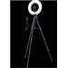 Razer kruhové světlo Ring Light for PC and Mobile Streaming, 12", USB, LED RZ19-03660100-R3M1