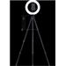 Razer kruhové světlo Ring Light for PC and Mobile Streaming, 12", USB, LED RZ19-03660100-R3M1