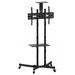 Reflecta TV STAND 70VCE Shelf (37-70"/50kg, +10-10°, výš.164-180cm, V600x400) PR23218