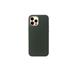 RhinoTech kryt MAGcase Origin pro Apple iPhone 12 / 12 Pro zelená RTACC359
