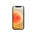 RhinoTech kryt MAGcase Origin pro Apple iPhone 12 Pro Max zelená RTACC360
