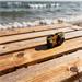 Rollei Sportsline 64 Pro/ 21 MPix/ 18x digital zoom/ 2,88 IPS LCD/ 5K video/ EIS Stabilizace/ 8m IP68/ Oranžový 18066