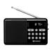 Sandberg reproduktor FM radio + Bluetooth, dobíjecí, 15 h, 5 W, černá 5705730421181
