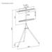 SBOX podlahový držák pro LCD/LED 45"- 65", černo-ořechová (FS-1246F) 3858894503032