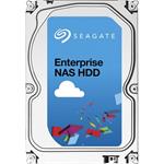 Seagate Enterprise NAS 8TB 7200RPM 256MB SATA ST8000NE0001