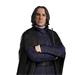 Severus Snape Harry Potter Art Scale 1/10 (Harry Potter) WBHPM61722-10