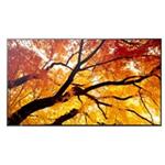 SHARP M502, LCD 50" Message Large Format Display, 24/7, 3840 x 2160, 500 [cd/m2] 60006054