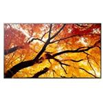 Sharp MultiSync® M432, LCD 43" Message Large Format Display, 24/7, 550 [cd/m2], 3840 x 2160, 8ms, 60Hz, 16:9 60006053