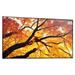 SHARP MultiSync® M432, LCD 43" Message Large Format Display, 24/7, 550 [cd/m2], 3840 x 2160, 8ms, 60Hz, 16:9 PNM432