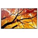 Sharp MultiSync® M982, LCD 98" Message Large Format Display, 16:9, 550 [cd/m2], 8ms, 60Hz, 3840 x 2160, USB-C, LA PNM982