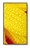 SHARP MultiSync ME432 LCD 43", IPS, LED, 3840x2160, 400nit, 1200:1, 8ms, 18/7, HDMI, LAN, USB, Mediaplayer L50ME432