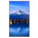 Sharp MultiSync® P656, LCD 65" Profesionální public displej, 24/7, 700 Jas [cd/m2], 3840 x 2160, 16:9, USB-C, LAN PNP656