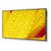 SHARP/NEC LFD 65" MultiSync M651-2, IPS, 3840x2160, 500nit, 8000:1, 8ms, 24/7, DP, HDMI, LAN, USB, Mediaplayer 60006086