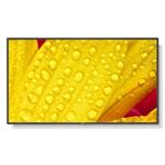 SHARP/NEC LFD 65" MultiSync M651-2, IPS, 3840x2160, 500nit, 8000:1, 8ms, 24/7, DP, HDMI, LAN, USB, Mediaplayer 60006086