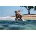 Shokz OpenSwim Pro, USB-C, sluchátka před uši 32GB, duální mód Bluetooth+MP3, červená 0810173486125