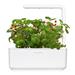 Smart Garden 3, biela PCW-008