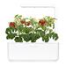 Smart Garden 3, biela PCW-008