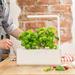 Smart Garden 3, biela PCW-008