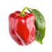 Smart Garden Červená paprika, sladká PCW-067