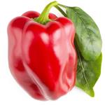 Smart Garden Červená paprika, sladká PCW-067