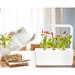Smart Garden Chili papričky PCW-012
