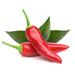 Smart Garden Chili papričky PCW-012