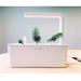 Smart Garden Experimentálna náplň PCW-004