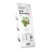 Smart Garden Lesné jahody PCW-011