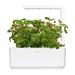 Smart Garden Mix ovocia a zeleniny 3-pack PCW-082