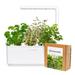 Smart Garden Mix Steak&Grill 3-pack PCW-081