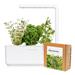Smart Garden Mix Talianských bylín 3-pack PCW-079