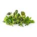 Smart Garden Mix Talianských bylín 3-pack PCW-079