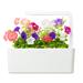 Smart Garden Petunia PCW-019