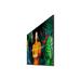 SMART Signage LED QB75C 75" LH75QBCEBGCXEN
