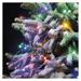 Standard LED spojovacia vianočná reťaz, 10 m, vonkajšia aj vnútorná, multicolor, časovač 8592920094846