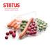 STATUS vákuové sáčky PREMIUM 28 × 36 cm 25 ks STA 176210
