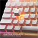 SteelSeries Apex 3 TKL US 64819