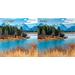 TCL 55C71B SMART TV 55" QLED/4K UHD/Direct LED/144Hz/4xHDMI/USB/LAN/GoogleTV