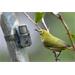 Technaxx fotopast Wild Cam 2MP - bezpečnostní kamera pro vnitřní i vnější použití,kamufláž (TX-117) 4260358123592