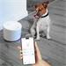 Tellur WiFi Smart Pet Water Dispenser-dávkovač vody, 2l, bilá TLL331471